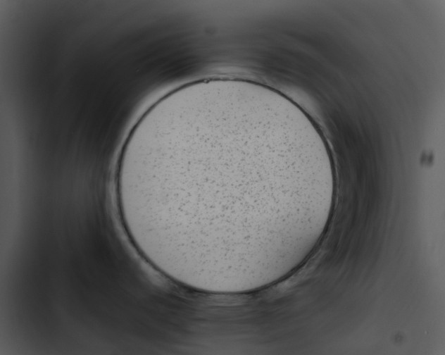 X0000102861440200809081256