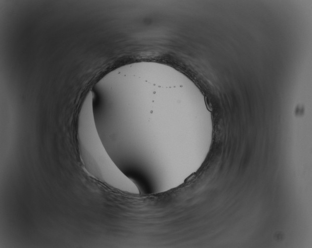 X0000102861441200809081256