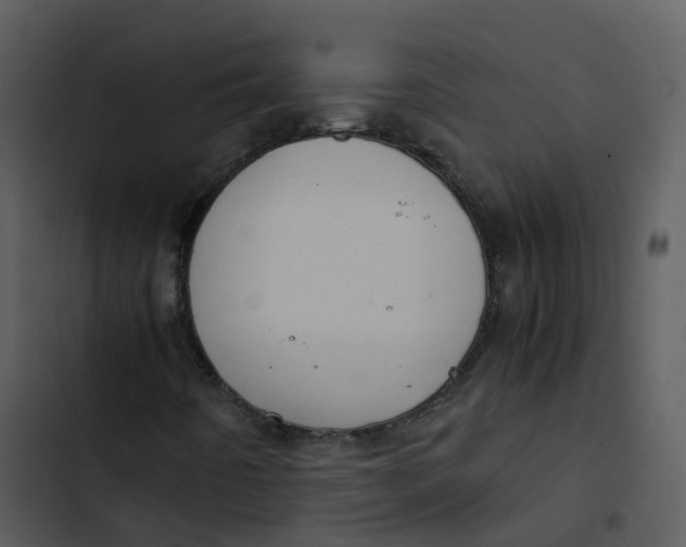 X0000102861442200809081255