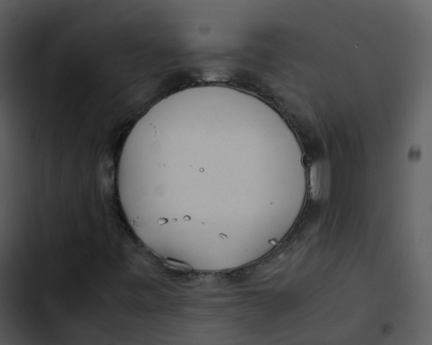 X0000102861443200809081255