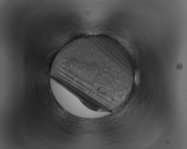 X0000102861444200809081255