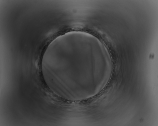 X0000102861445200809081255