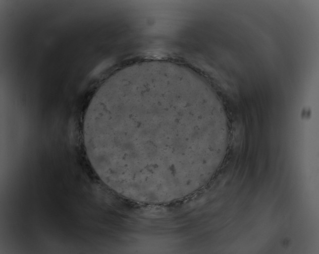 X0000102861446200809081255