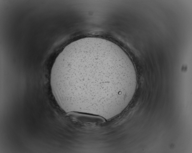 X0000102861447200809081255