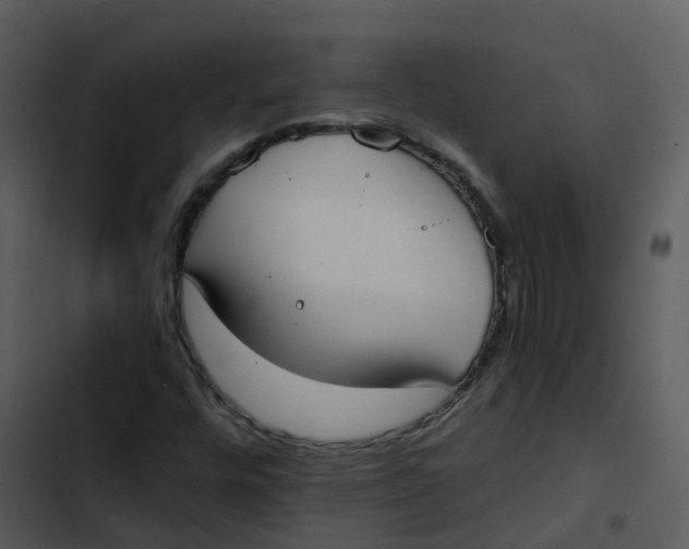 X0000102861448200809081255