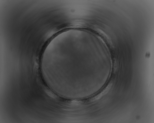 X0000102861449200809081255