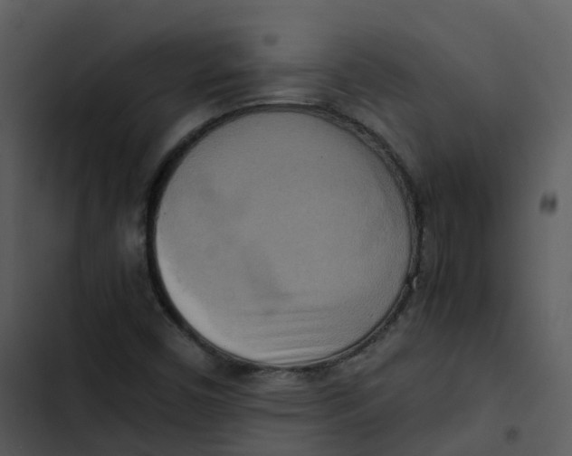 X0000102861450200809081255