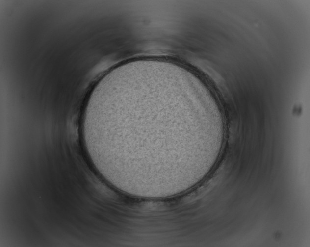 X0000102861451200809081255