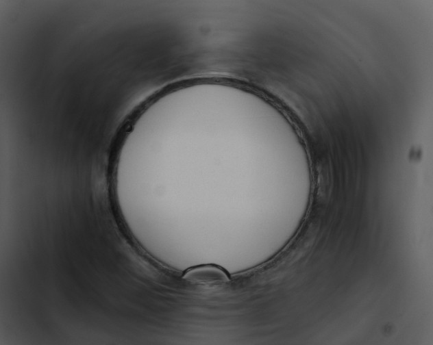 X0000102861452200809081255