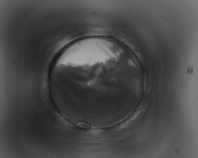 X0000102861453200809081255