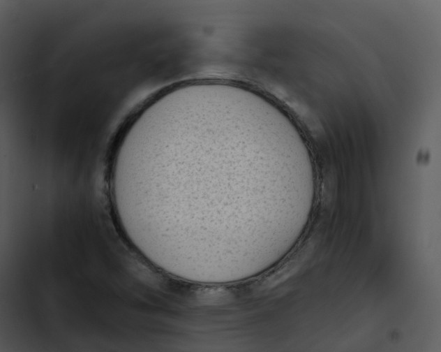 X0000102861454200809081255