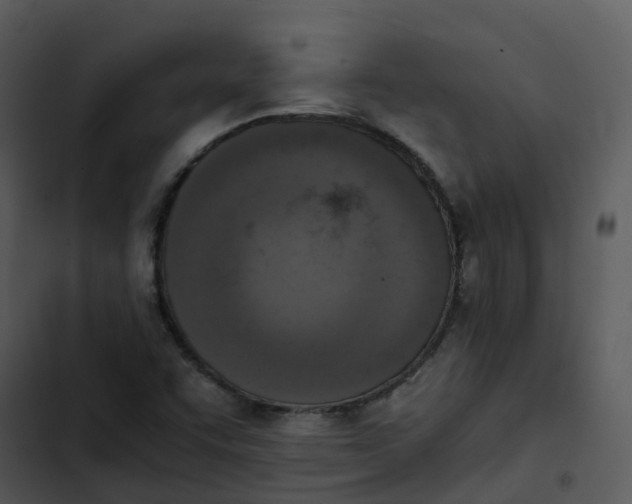 X0000102861455200809081255