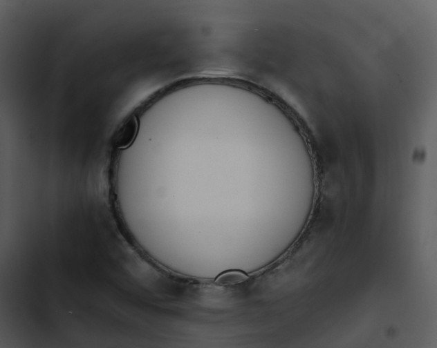 X0000102861456200809081255