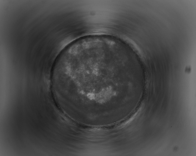 X0000102861457200809081255