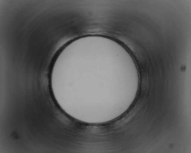 X0000102861458200809081255