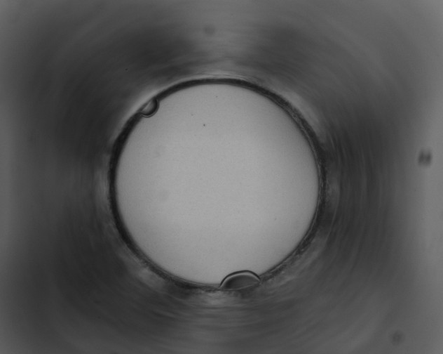 X0000102861460200809081255