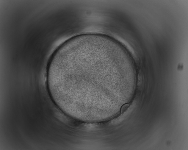 X0000102861461200809081255