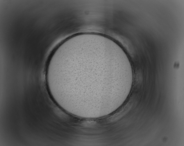 X0000102861462200809081255