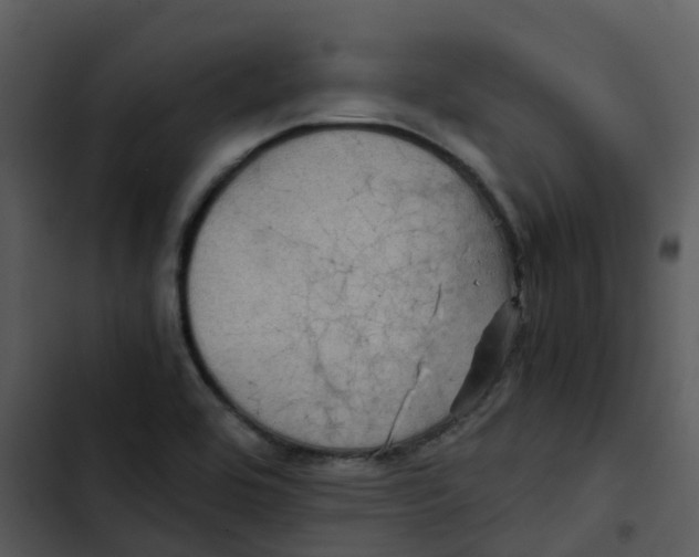 X0000102861464200809081255