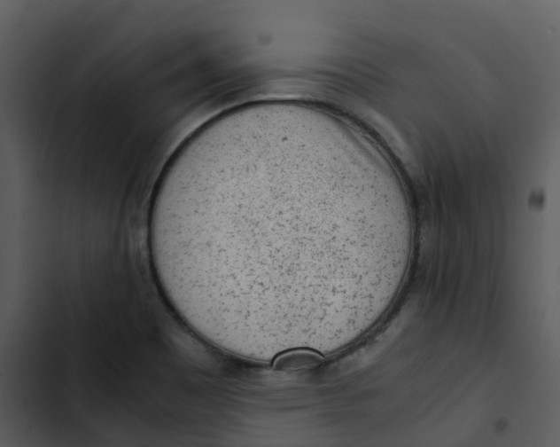 X0000102861465200809081255