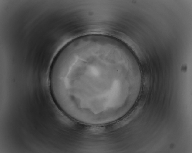 X0000102861466200809081255