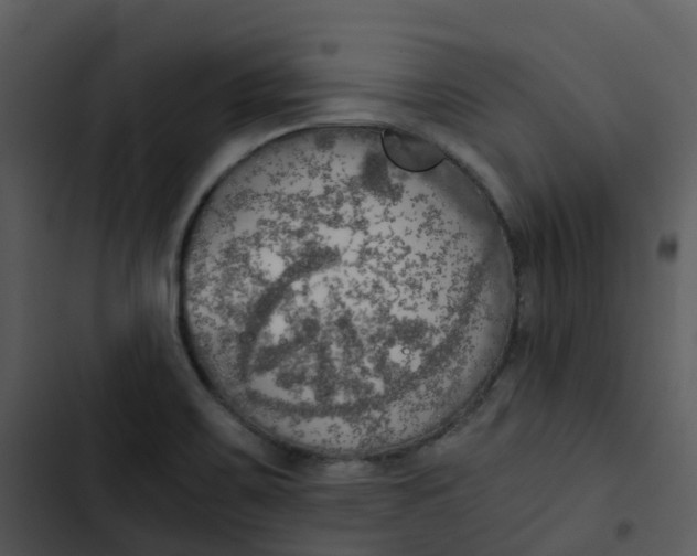 X0000102861467200809081255