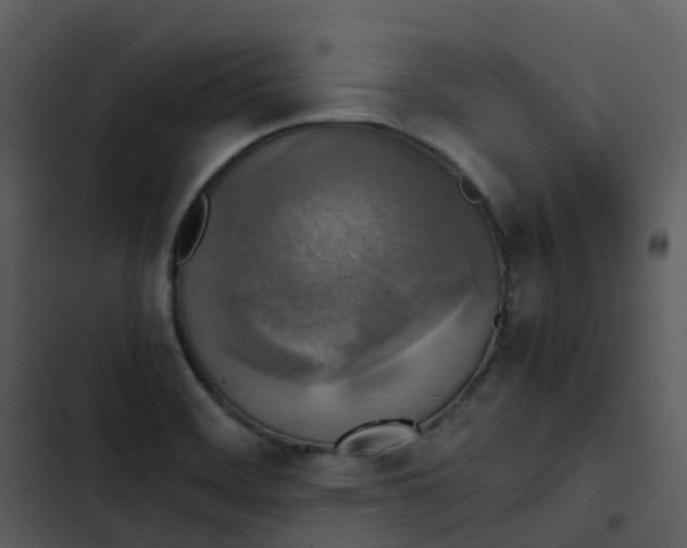 X0000102861468200809081255