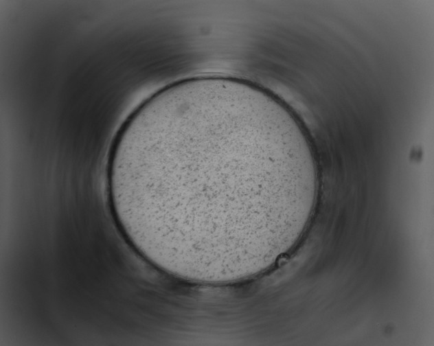 X0000102861469200809081255