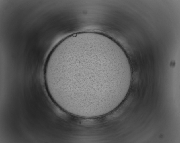 X0000102861470200809081255