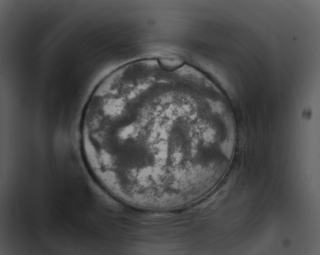 X0000102861471200809081255