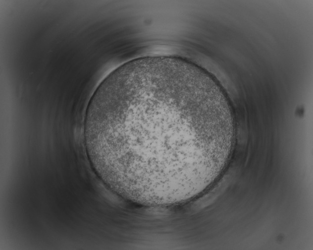 X0000102861473200809081255