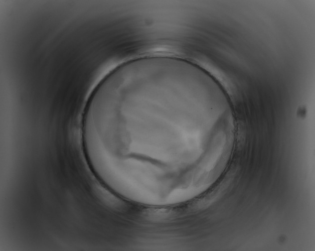 X0000102861474200809081255