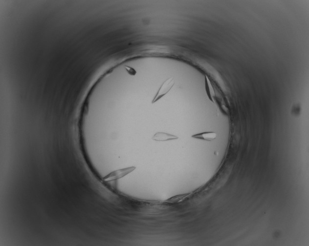 X0000102861475200809081255