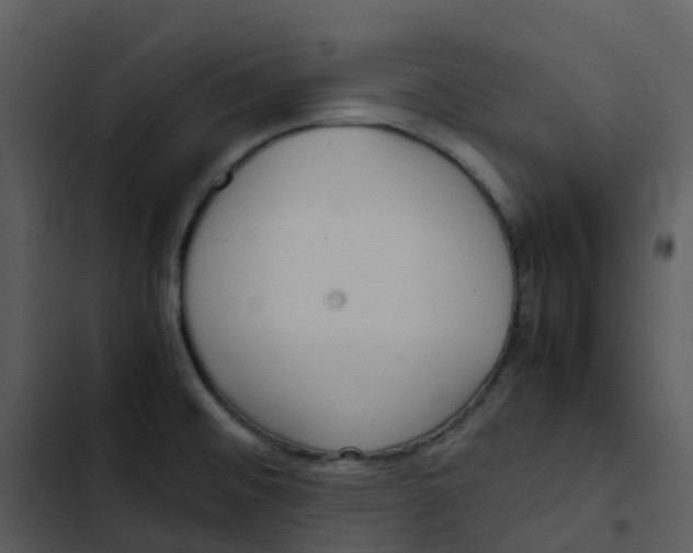 X0000102861476200809081255