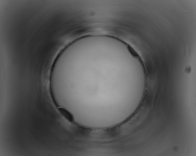 X0000102861477200809081255