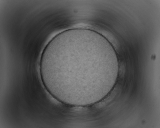 X0000102861478200809081255