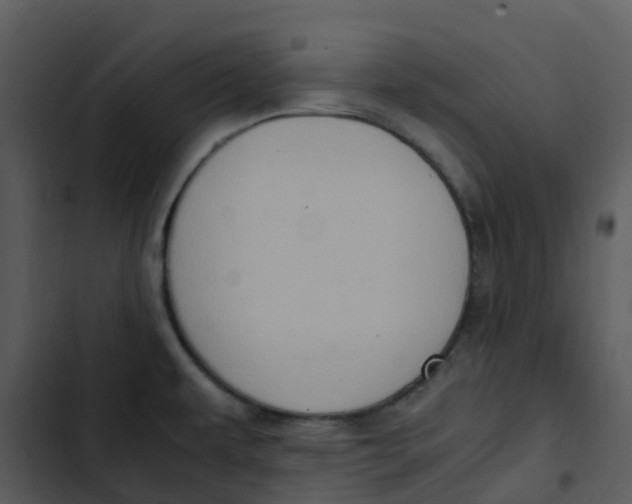 X0000102861479200809081255