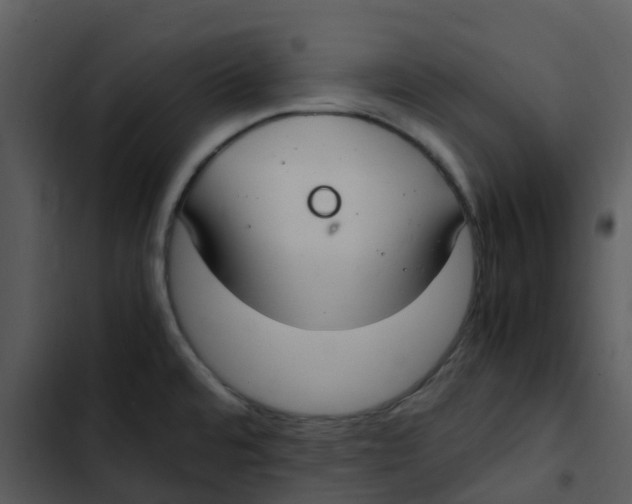 X0000102861480200809081255