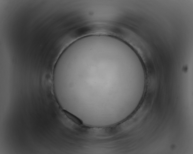 X0000102861481200809081255