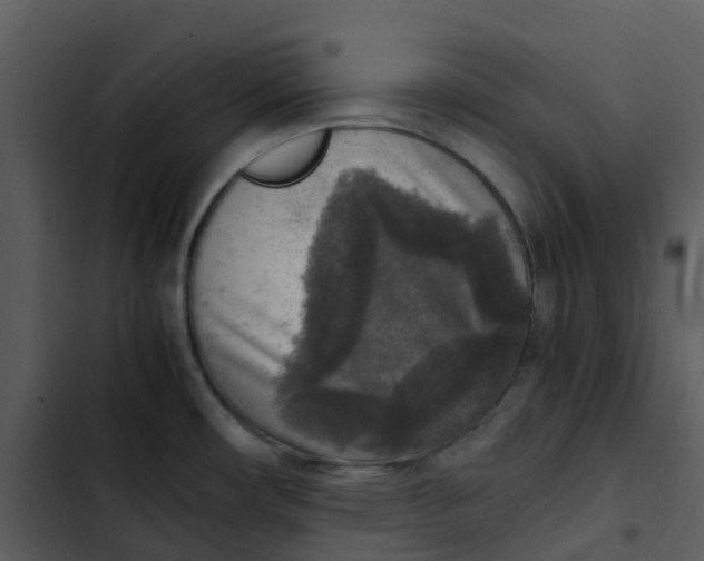 X0000102861482200809081255