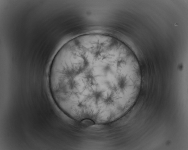 X0000102861483200809081255