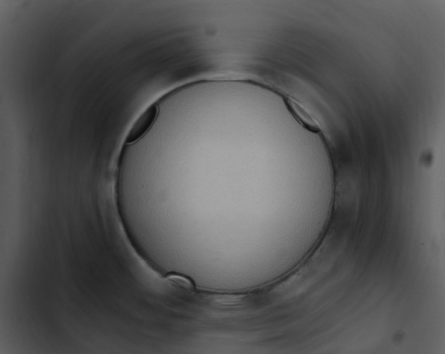 X0000102861484200809081255