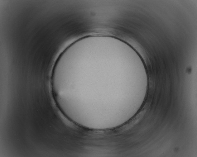 X0000102861485200809081255