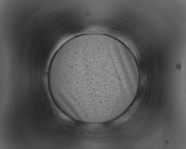 X0000102861486200809081255