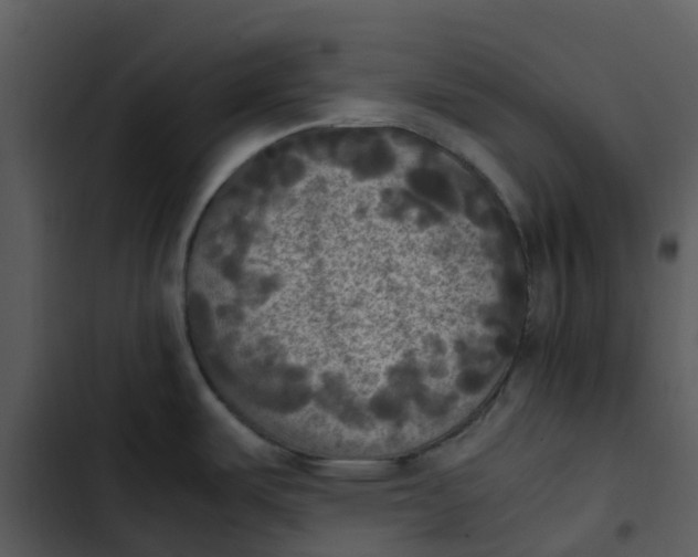 X0000102861487200809081255