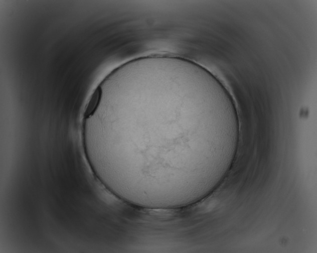 X0000102861488200809081255