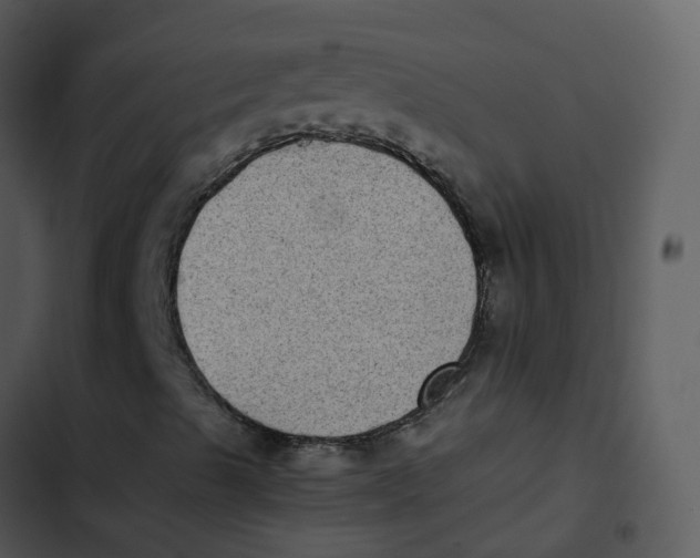 X0000102861489200809081254