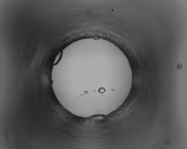 X0000102861490200809081254