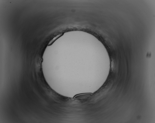 X0000102861492200809081254