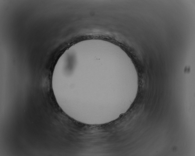 X0000102861493200809081254